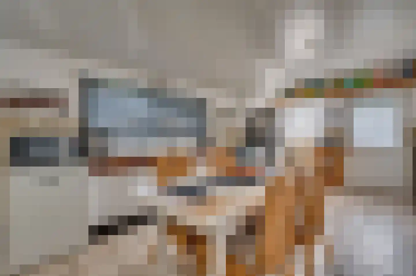 Tongerloseweg 11 Hegelsom thumbnail 12