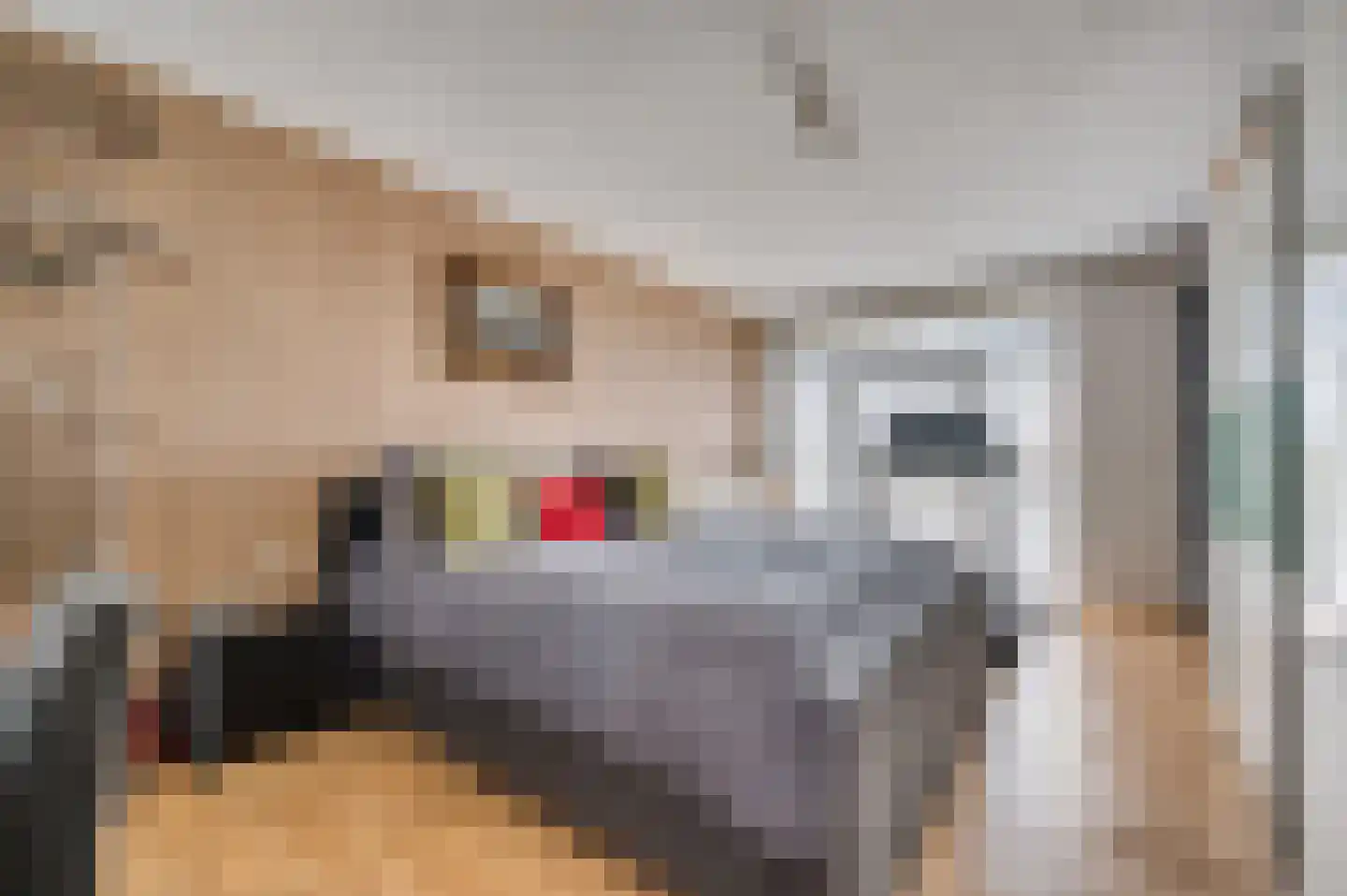 Tongerloseweg 11 Hegelsom thumbnail 13