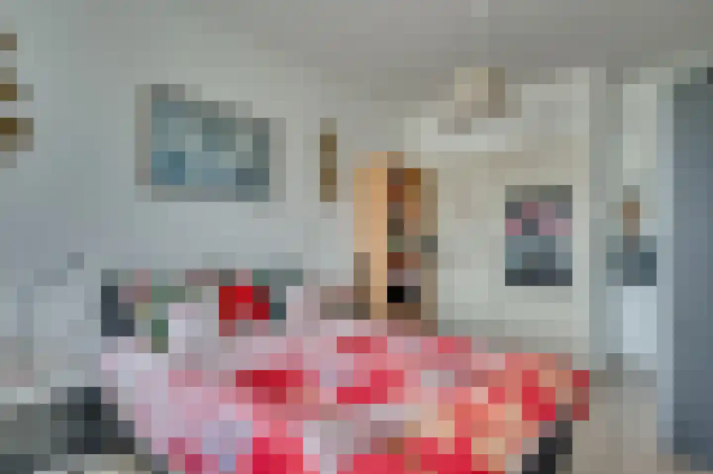 Tongerloseweg 11 Hegelsom thumbnail 14