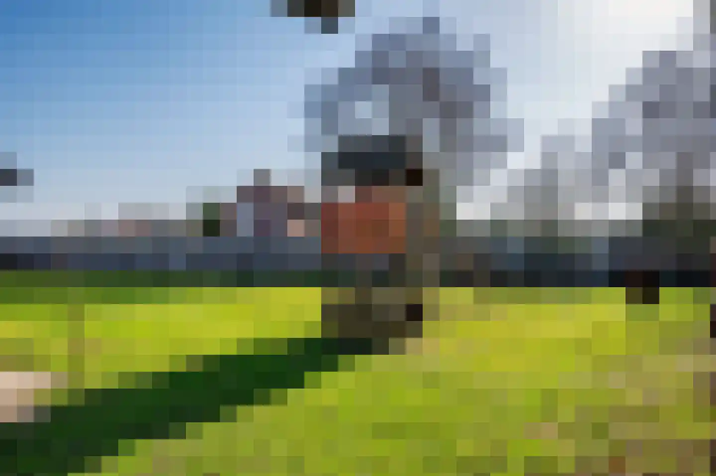 Tongerloseweg 11 Hegelsom thumbnail 32