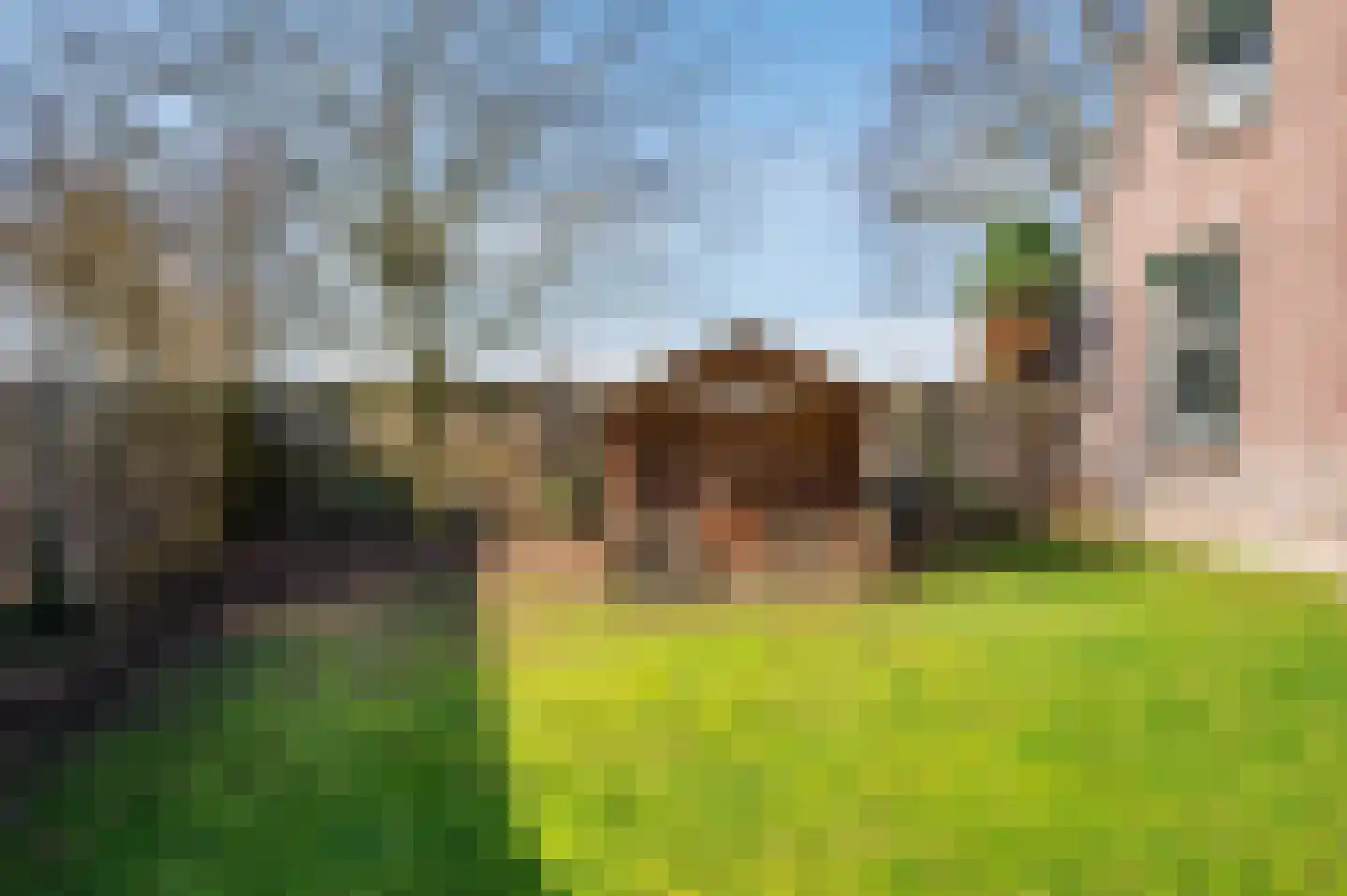 Tongerloseweg 11 Hegelsom thumbnail 33