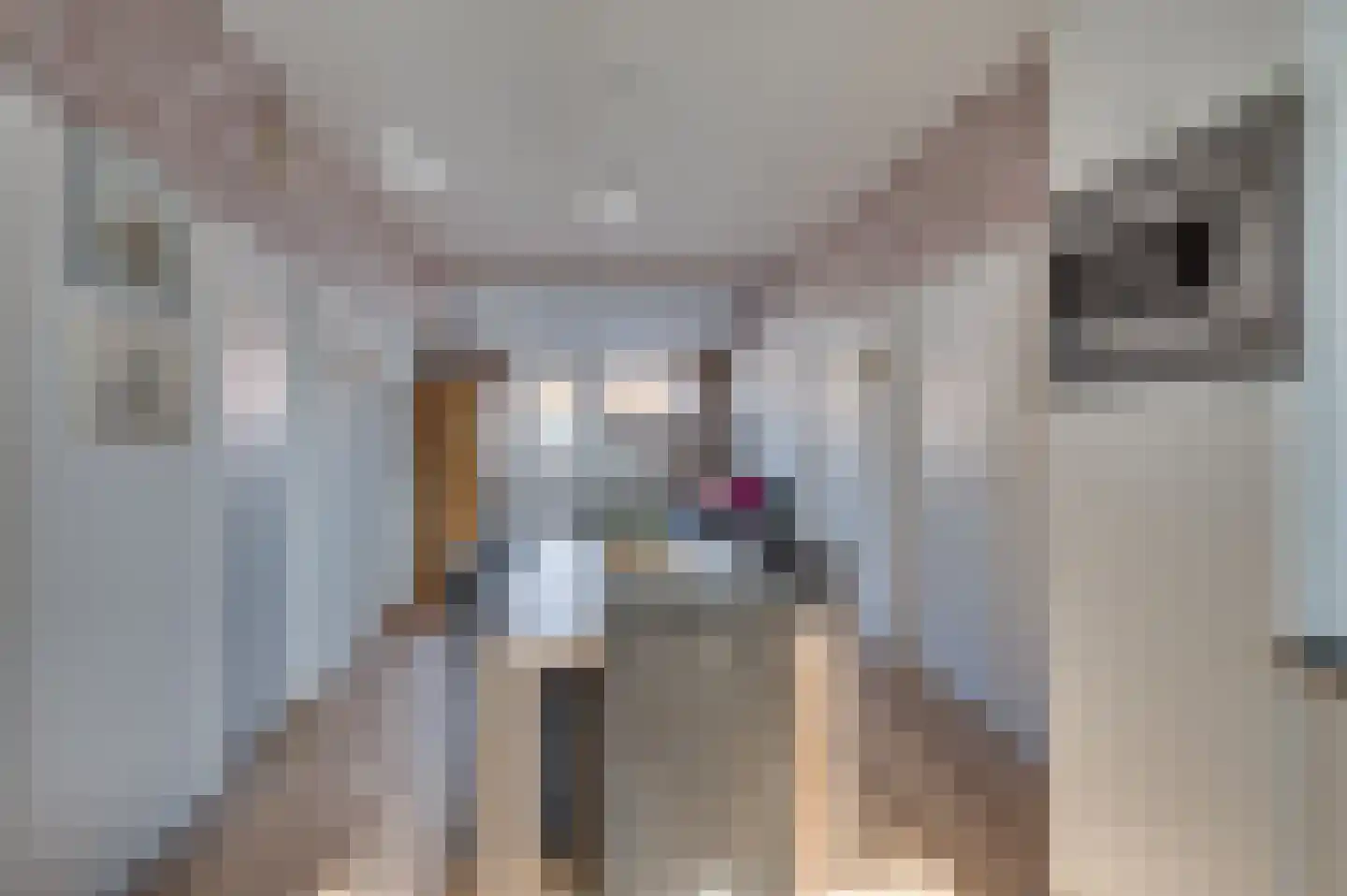 Tongerloseweg 11 Hegelsom thumbnail 38