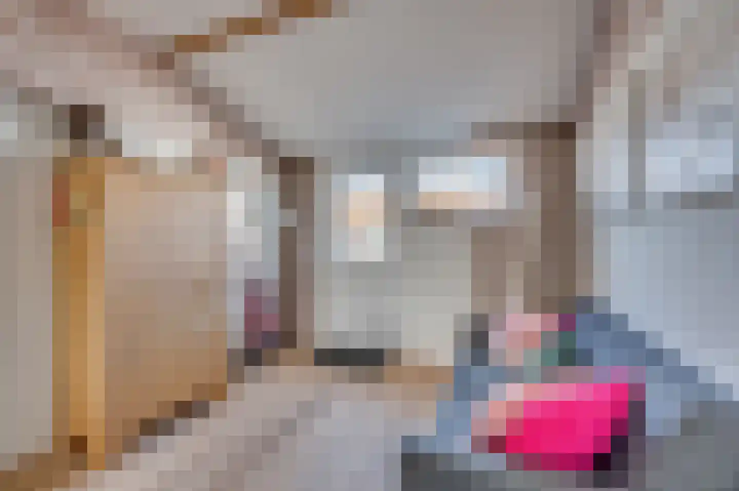 Tongerloseweg 11 Hegelsom thumbnail 39