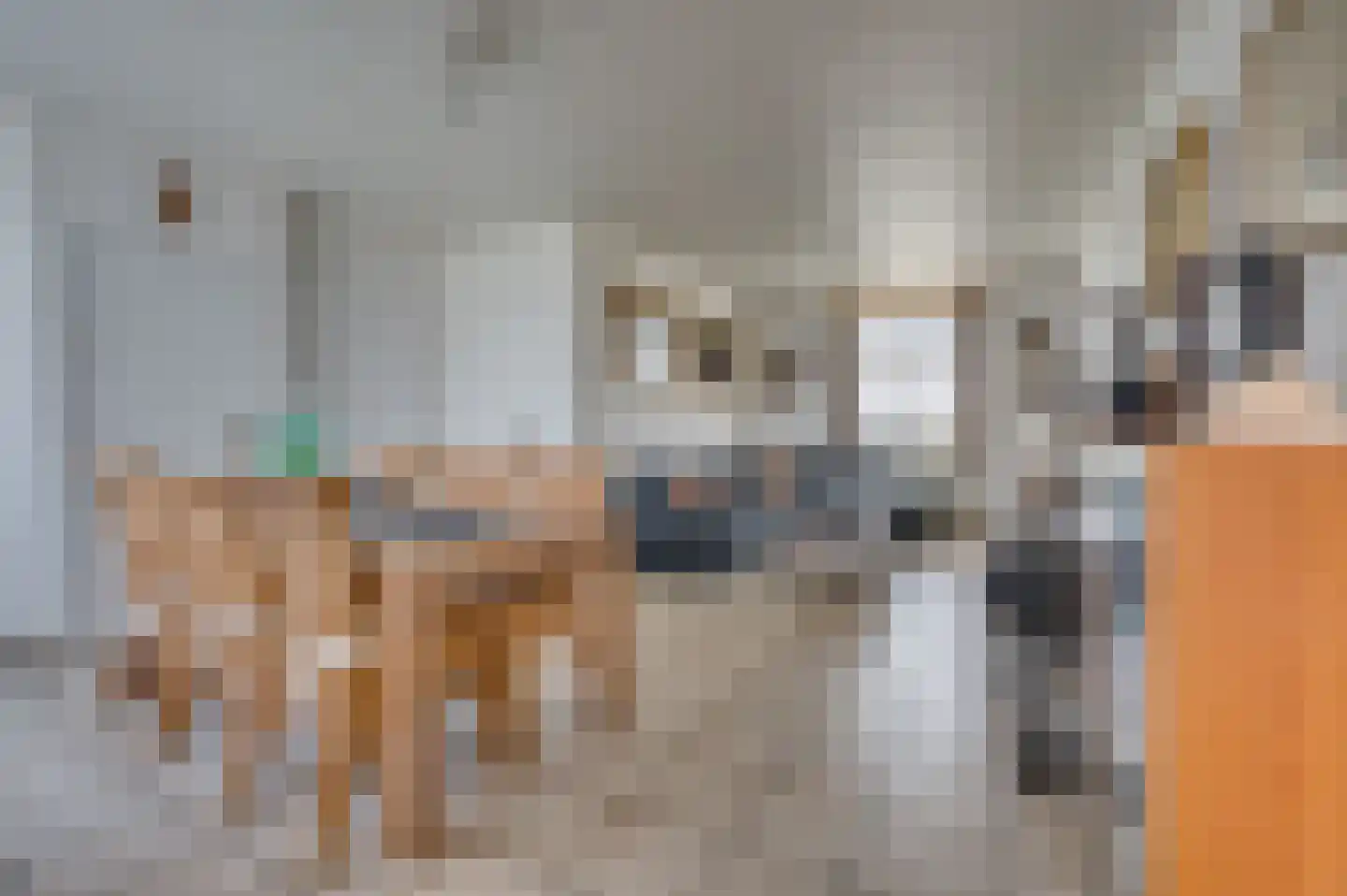 Tongerloseweg 11 Hegelsom thumbnail 5