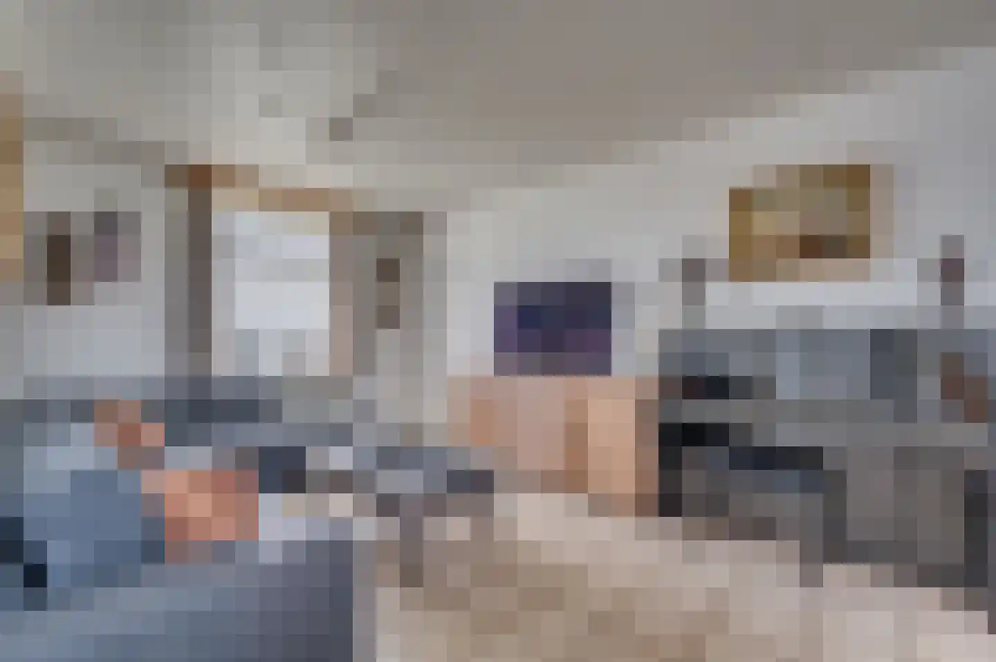 Tongerloseweg 11 Hegelsom thumbnail 7
