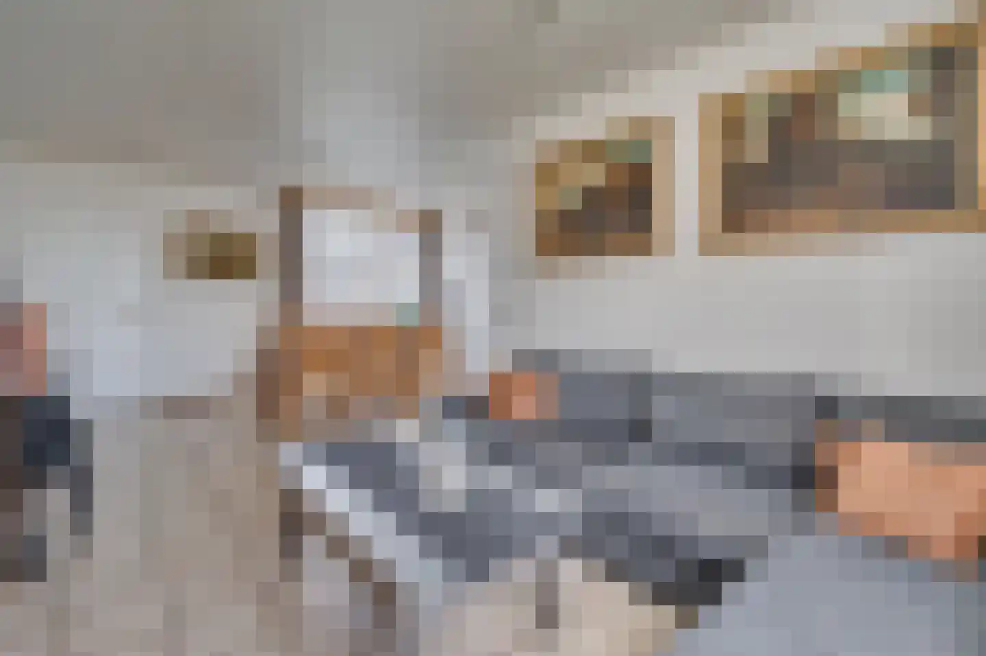 Tongerloseweg 11 Hegelsom thumbnail 8