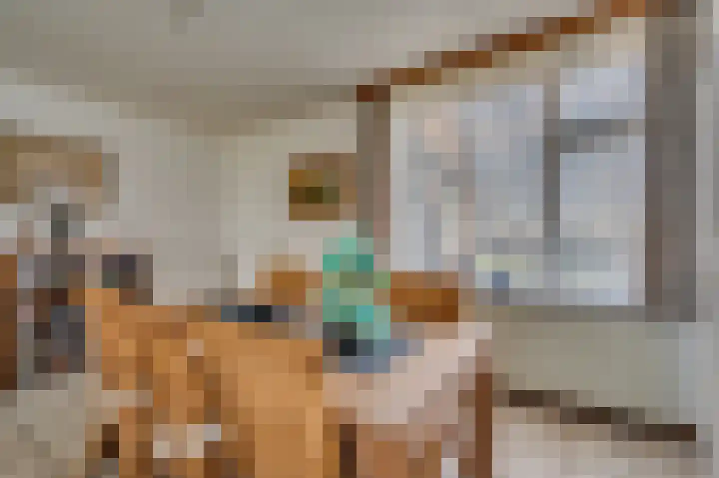 Tongerloseweg 11 Hegelsom thumbnail 9