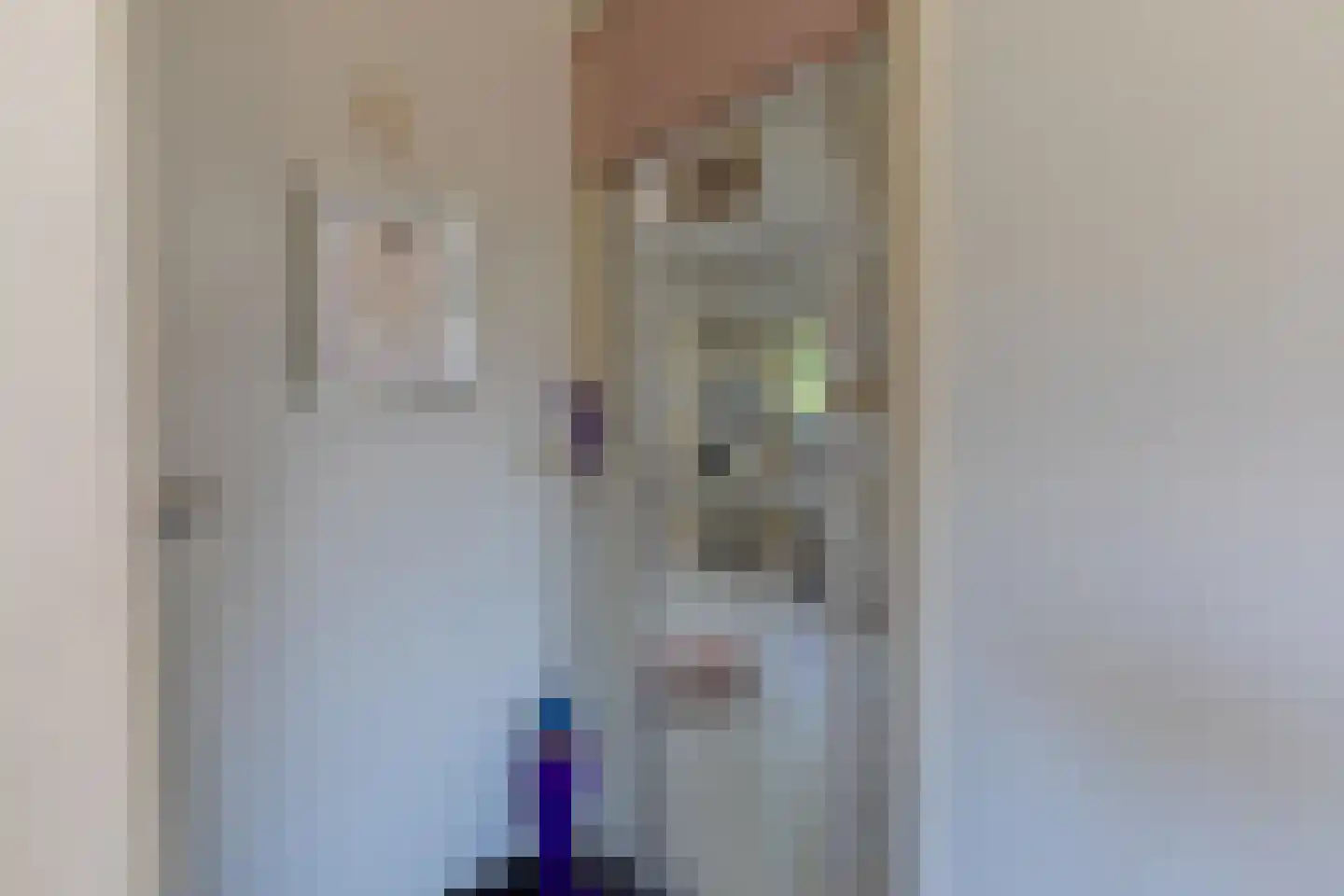 Tongerloseweg 2 Hegelsom thumbnail 11