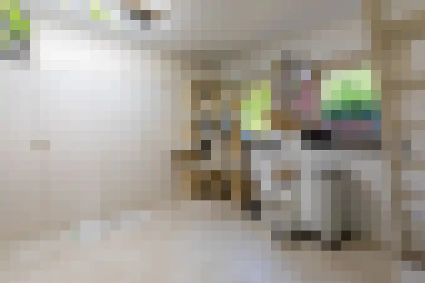 Tongerloseweg 2 Hegelsom thumbnail 13