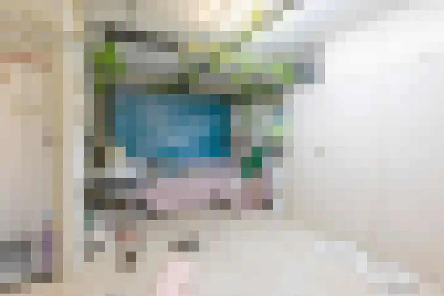 Tongerloseweg 2 Hegelsom thumbnail 14