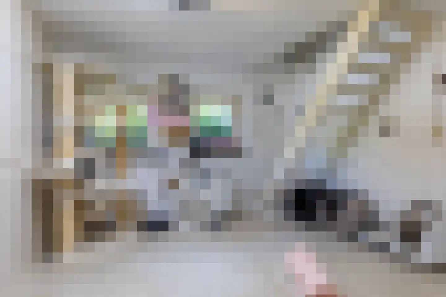 Tongerloseweg 2 Hegelsom thumbnail 15