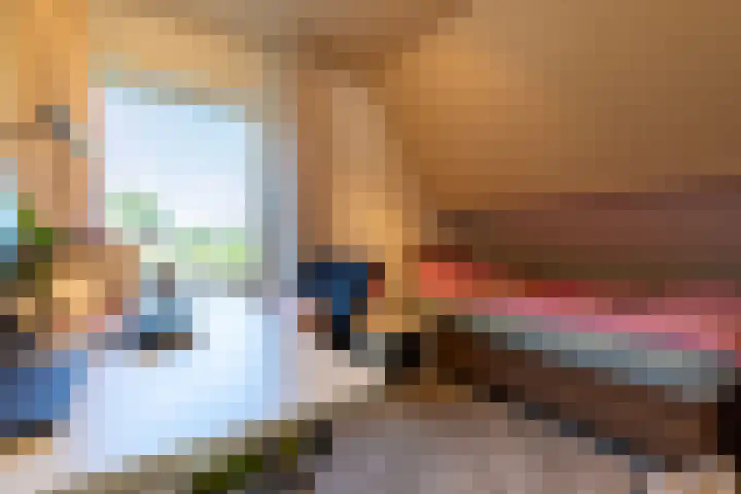 Tongerloseweg 2 Hegelsom thumbnail 21