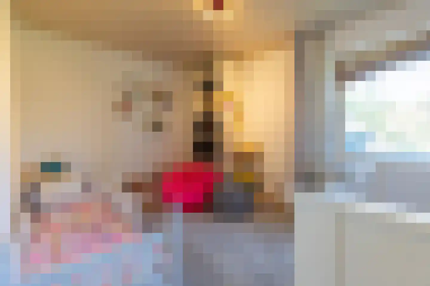 Tongerloseweg 2 Hegelsom thumbnail 22