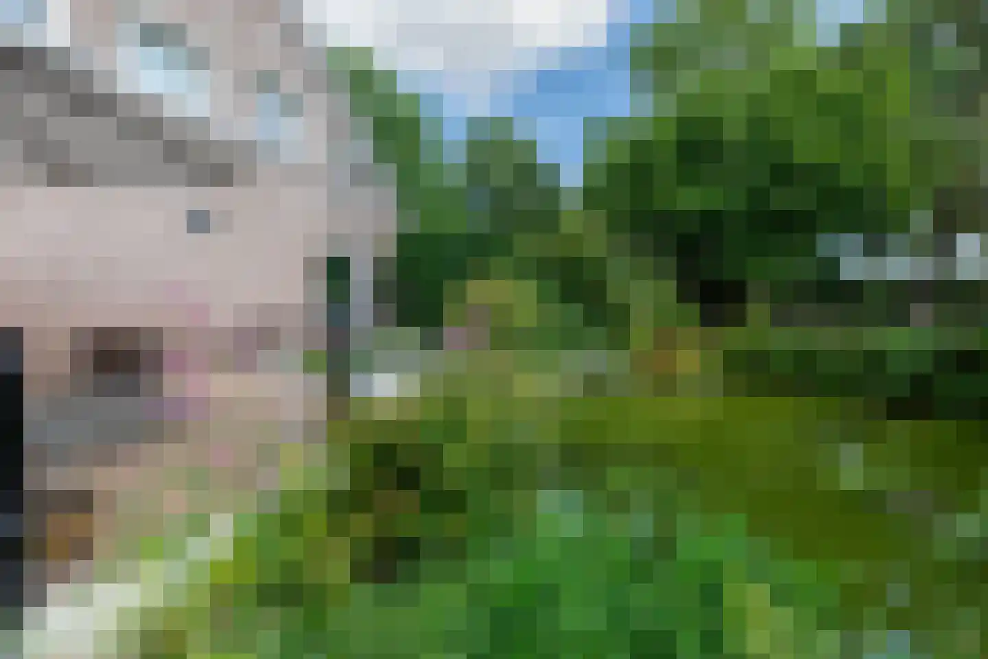 Tongerloseweg 2 Hegelsom thumbnail 28