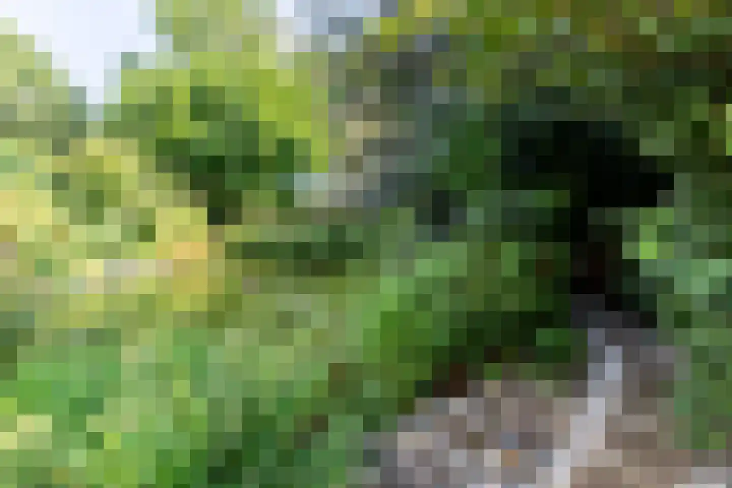 Tongerloseweg 2 Hegelsom thumbnail 29