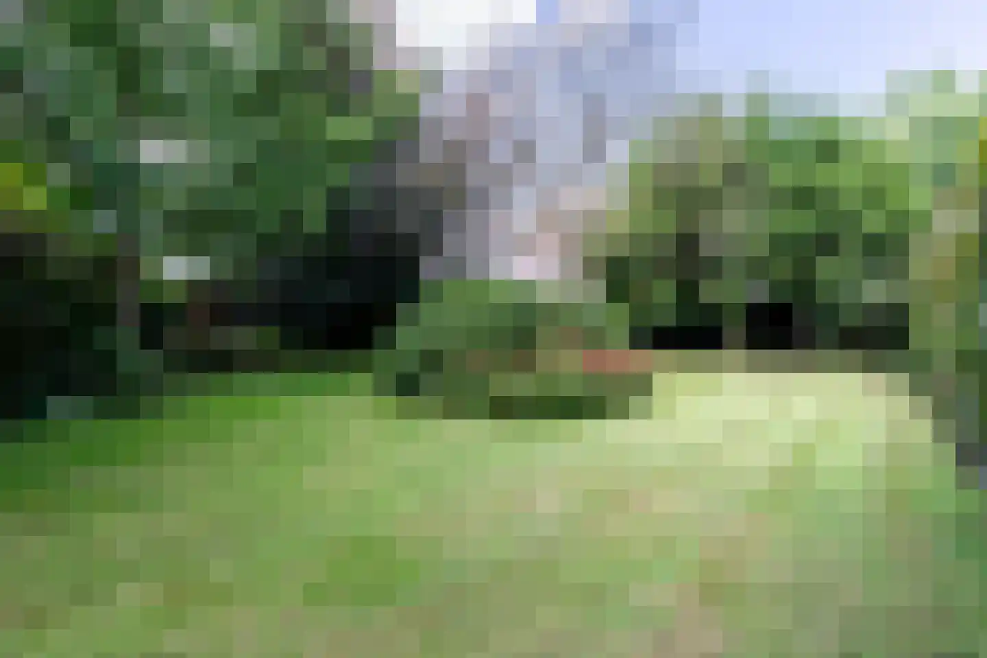 Tongerloseweg 2 Hegelsom thumbnail 30