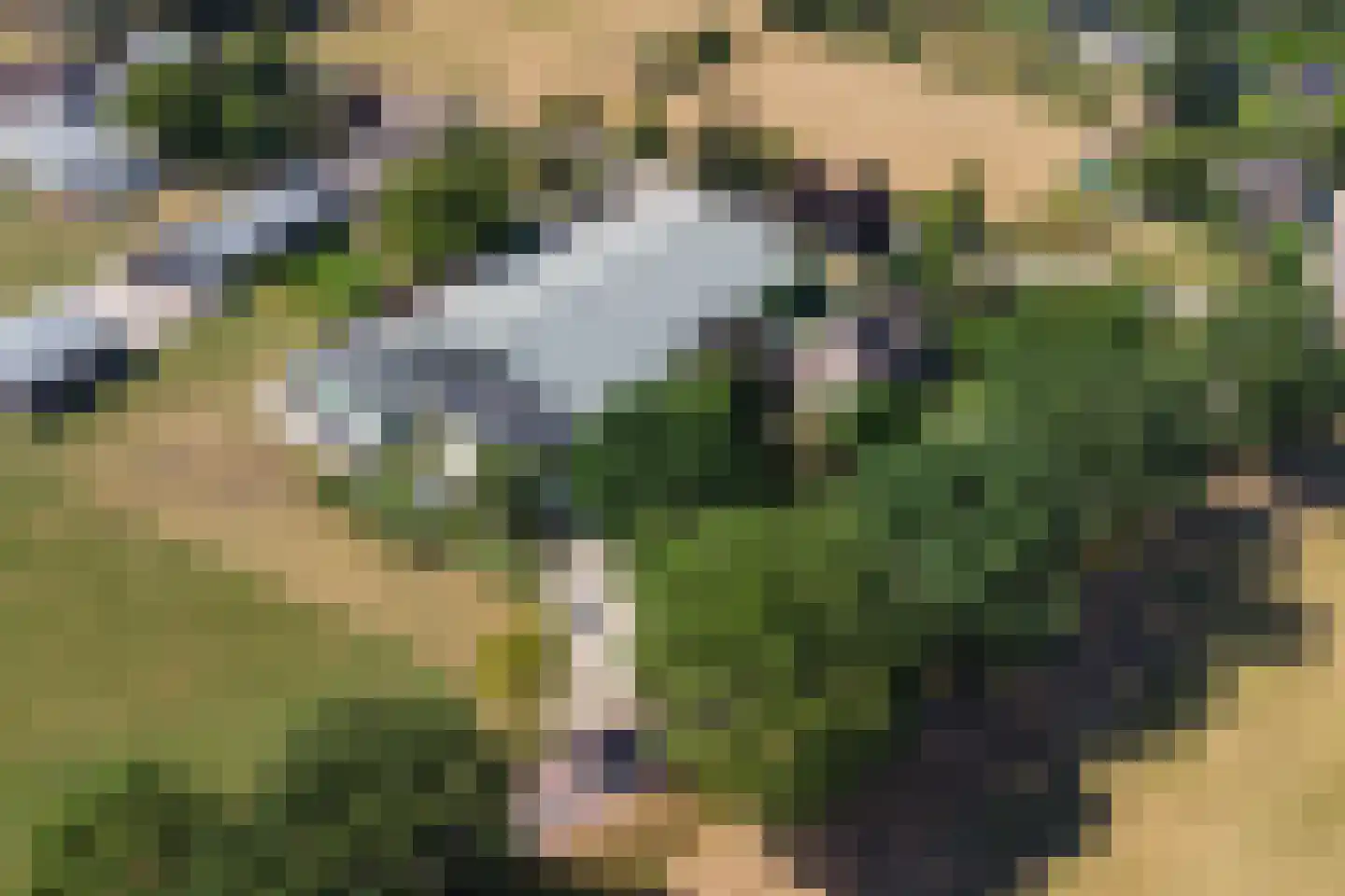 Tongerloseweg 2 Hegelsom thumbnail 33