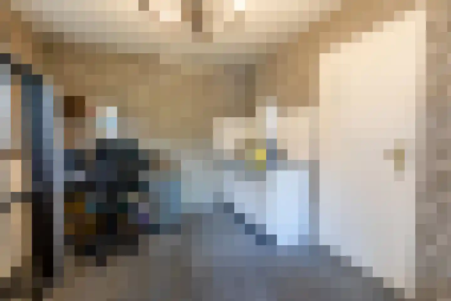 Tongerloseweg 2 Hegelsom thumbnail 49