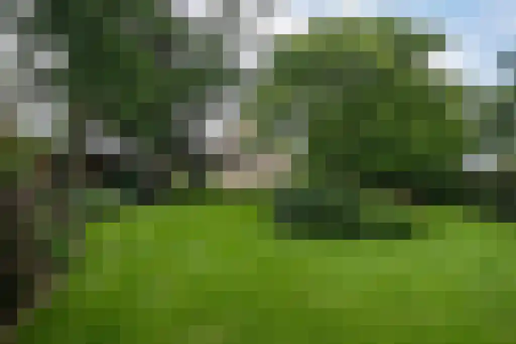 Tongerloseweg 2 Hegelsom thumbnail 55