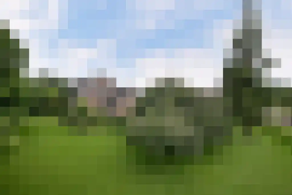 Tongerloseweg 2 Hegelsom thumbnail 56