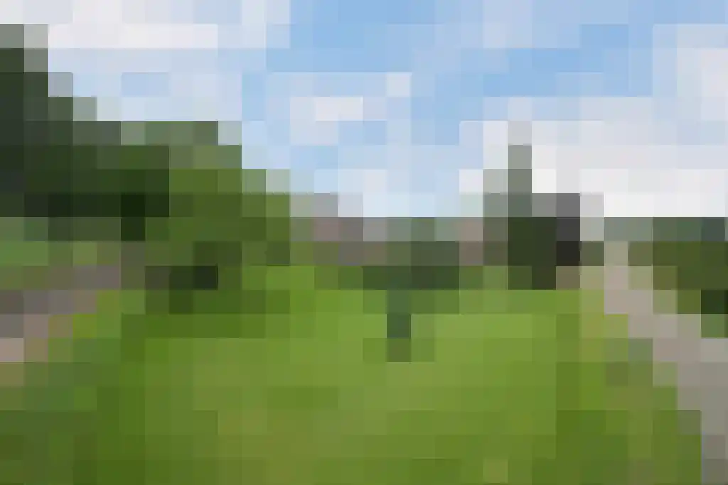 Tongerloseweg 2 Hegelsom thumbnail 57