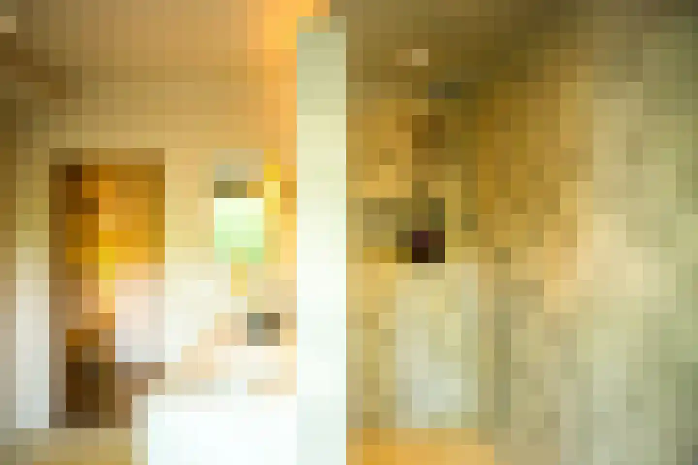 Tongerseplein 2 Maastricht thumbnail 10