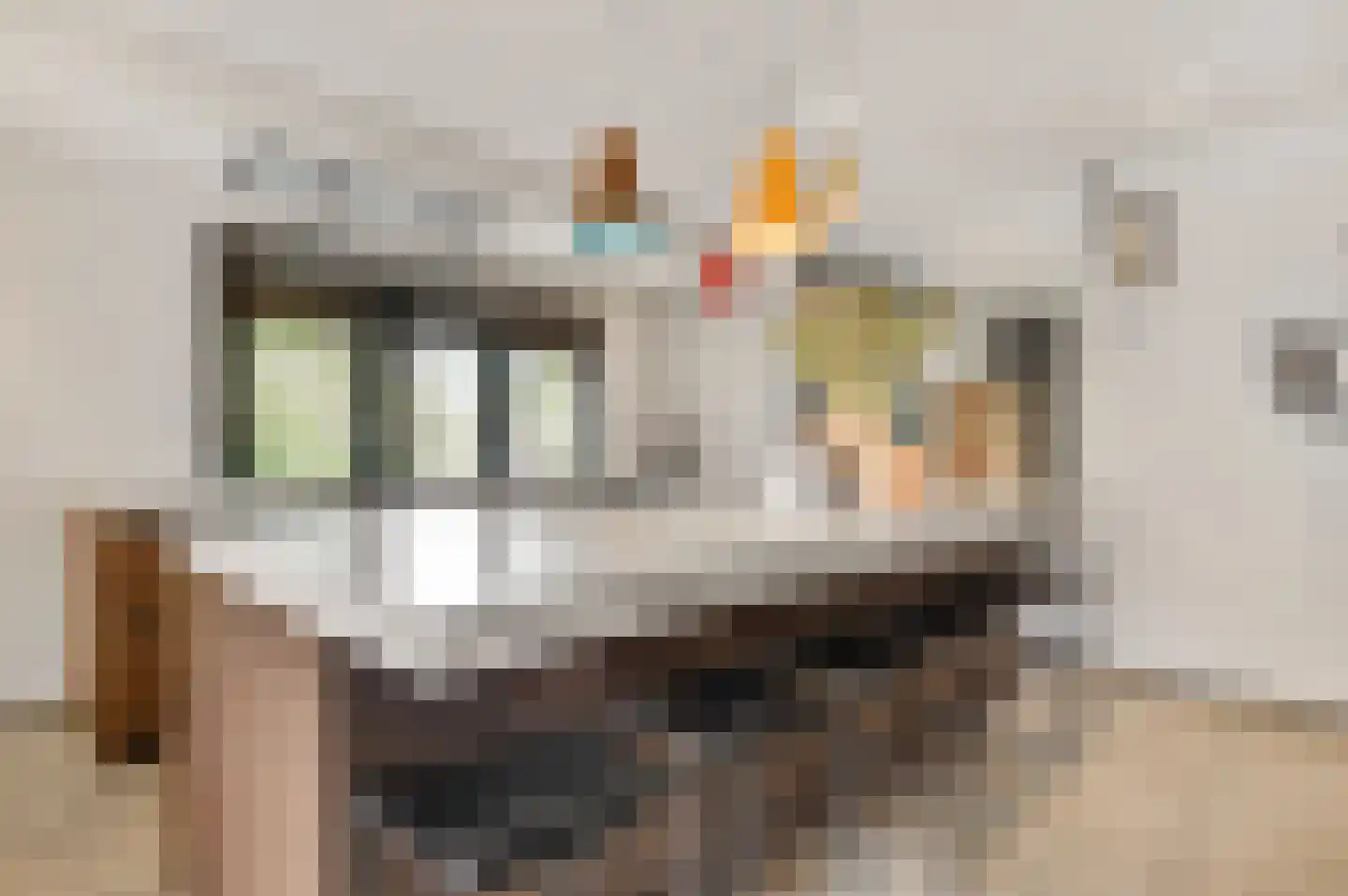 Tongerseplein 2 Maastricht thumbnail 16