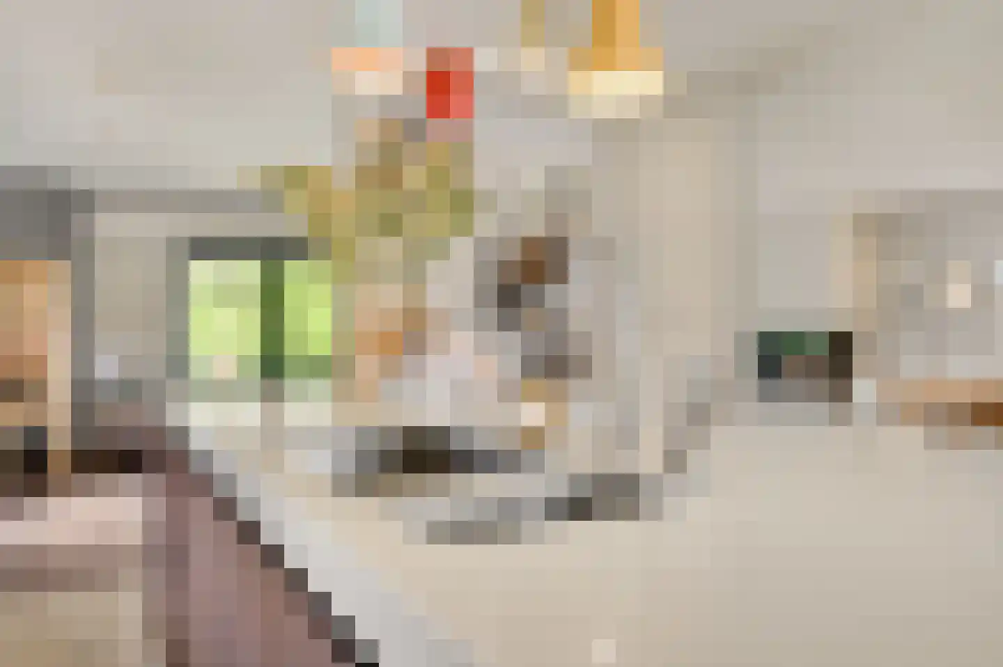 Tongerseplein 2 Maastricht thumbnail 17