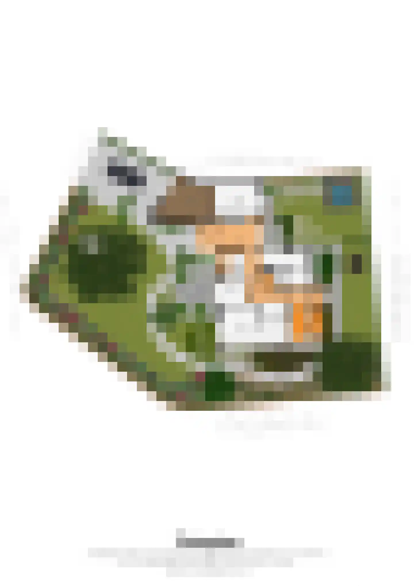 Tongerseplein 2 Maastricht thumbnail 31
