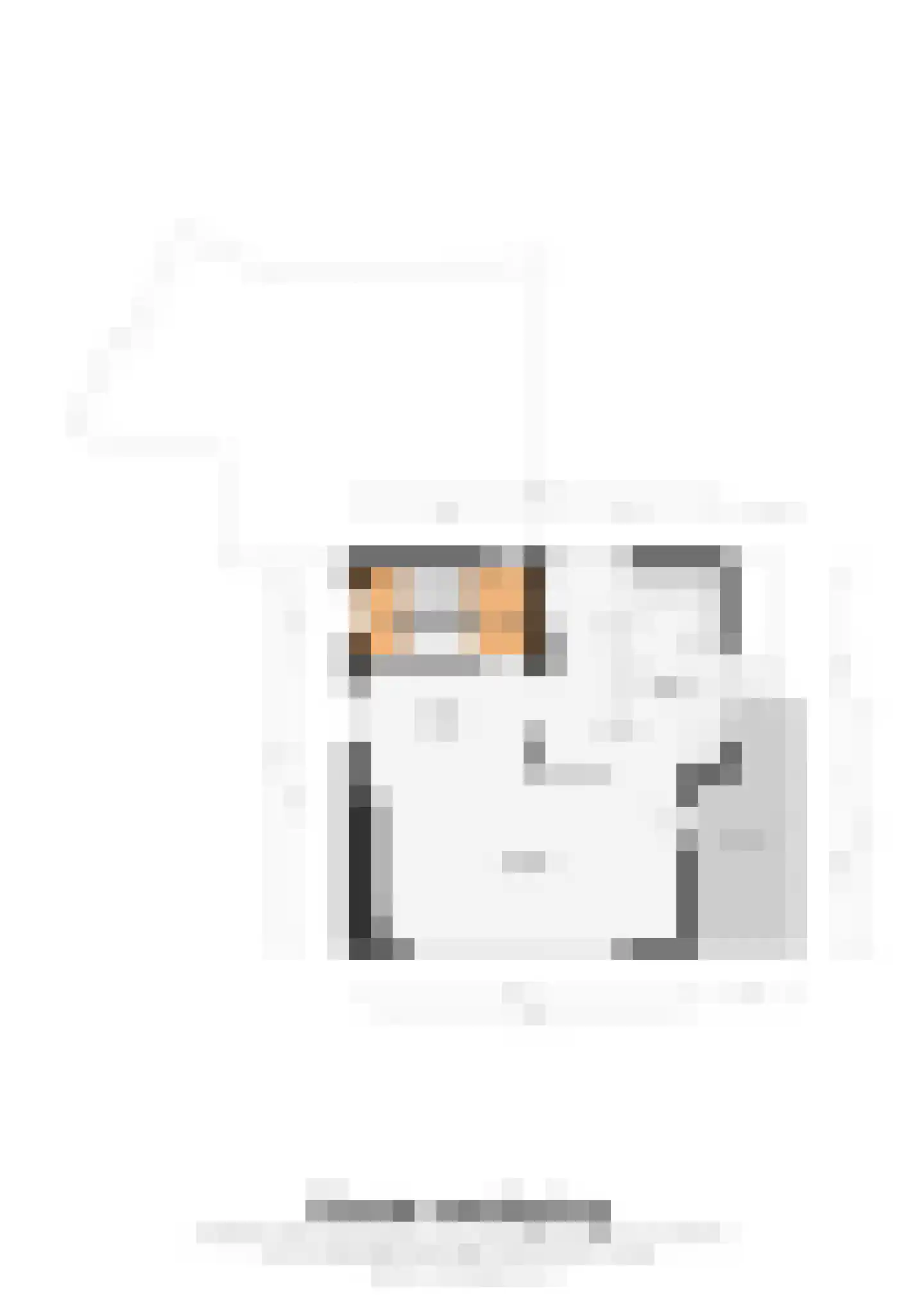 Tongerseplein 2 Maastricht thumbnail 35