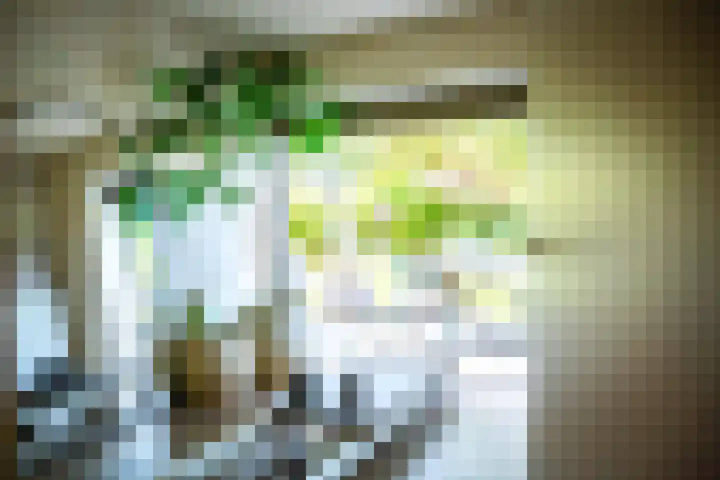 Tongerseplein 2 Maastricht thumbnail 7