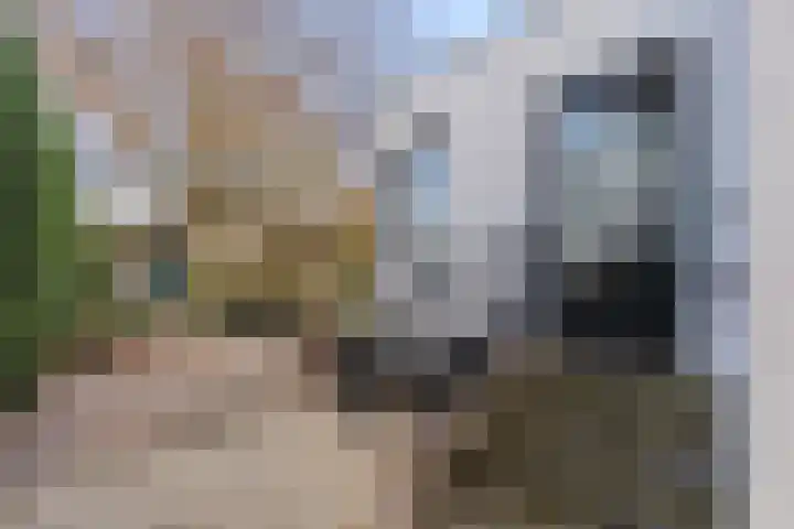 Tongerseweg 16 Maastricht thumbnail 25