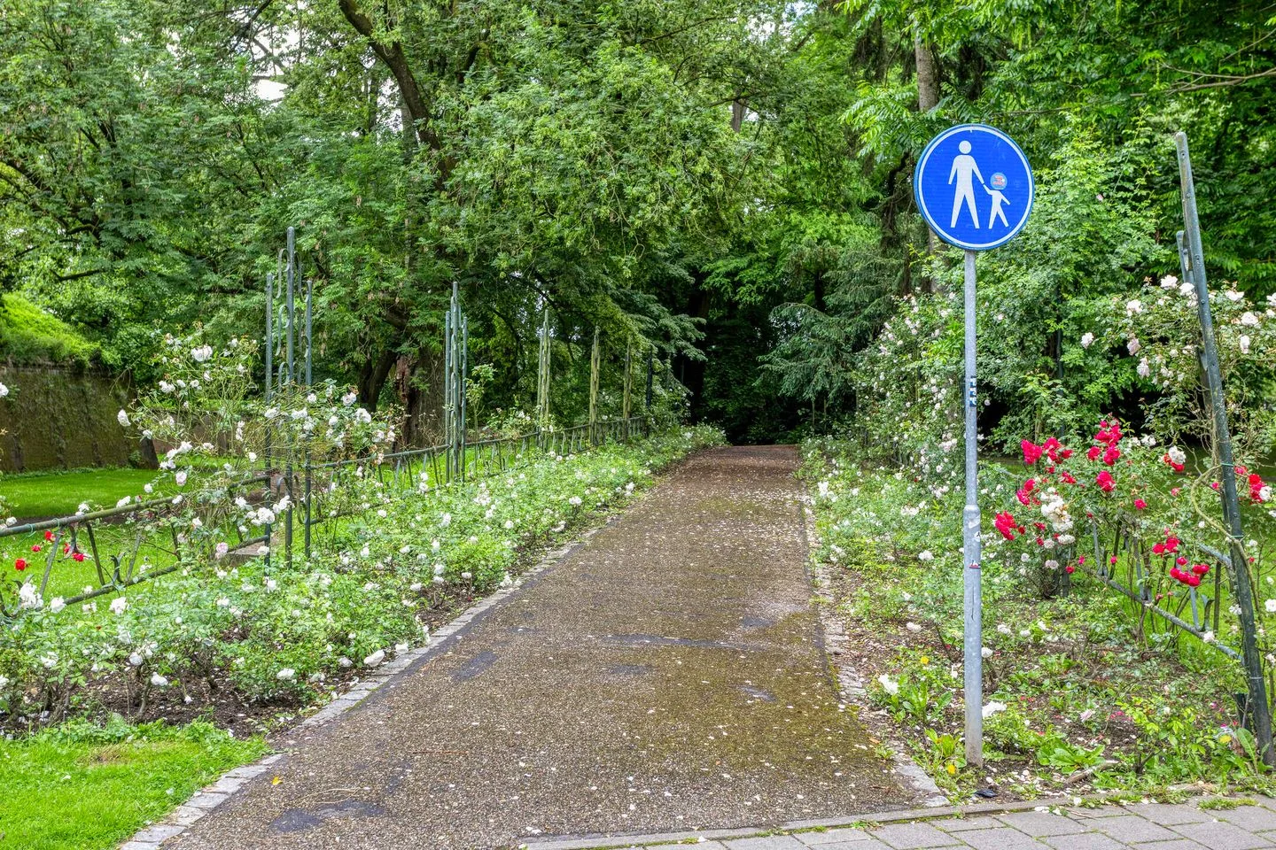 Tongerseweg 48 Maastricht thumbnail 46
