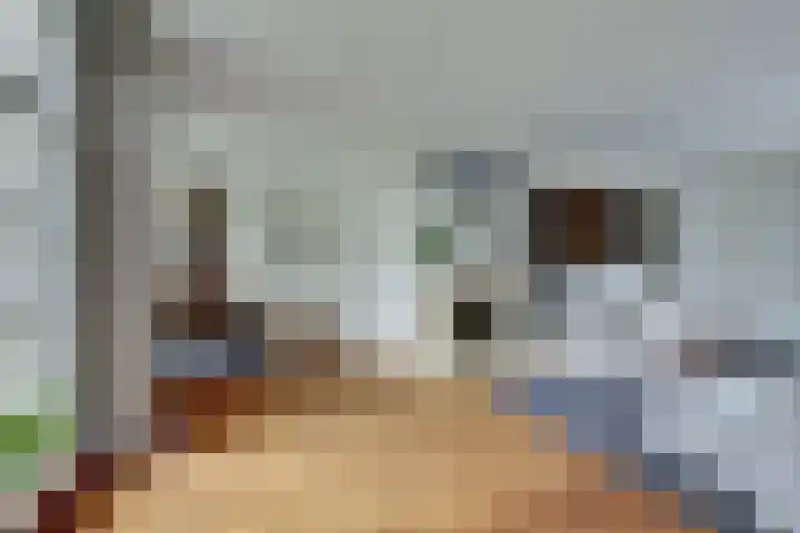 Tongerveldweg 7 Maasbree thumbnail 11