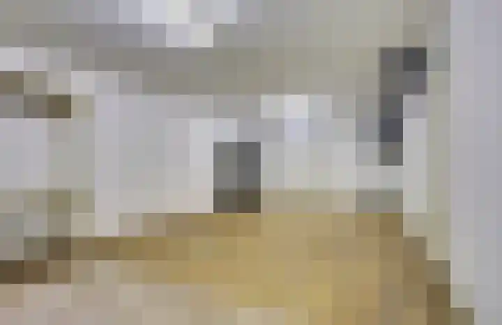 Tongerveldweg 7 Maasbree thumbnail 19