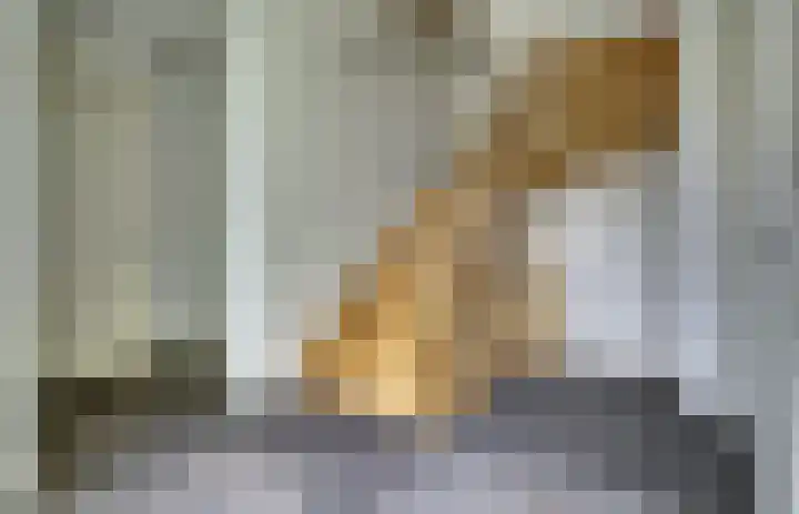 Tongerveldweg 7 Maasbree thumbnail 23