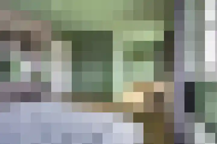 Tongerveldweg 7 Maasbree thumbnail 26