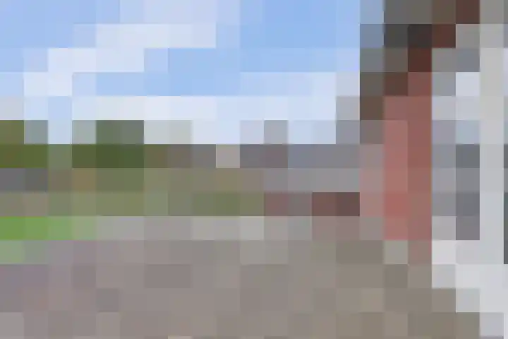 Tongerveldweg 7 Maasbree thumbnail 29