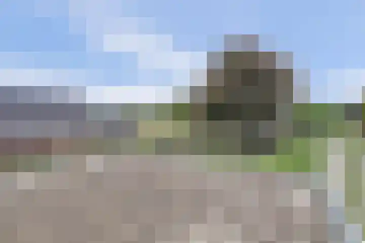 Tongerveldweg 7 Maasbree thumbnail 30