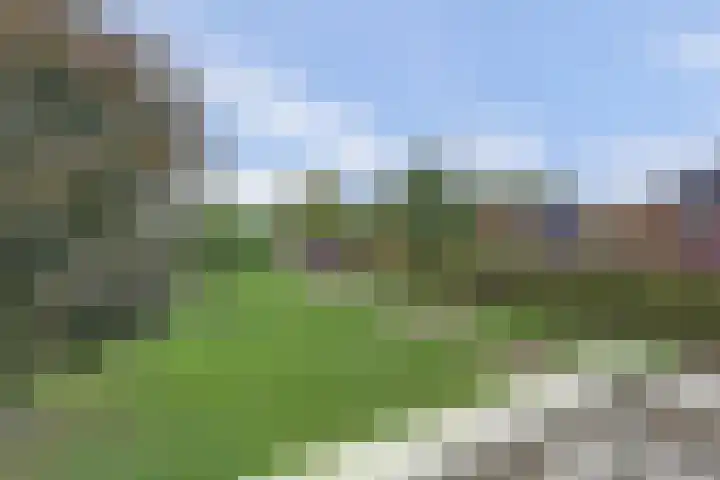 Tongerveldweg 7 Maasbree thumbnail 31