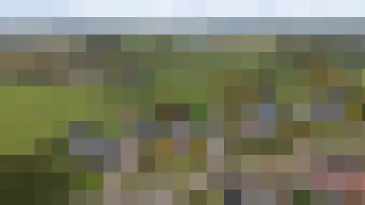 Tongerveldweg 7 Maasbree thumbnail 4