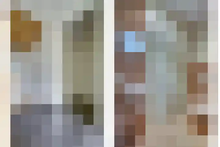 Tongerveldweg 7 Maasbree thumbnail 40
