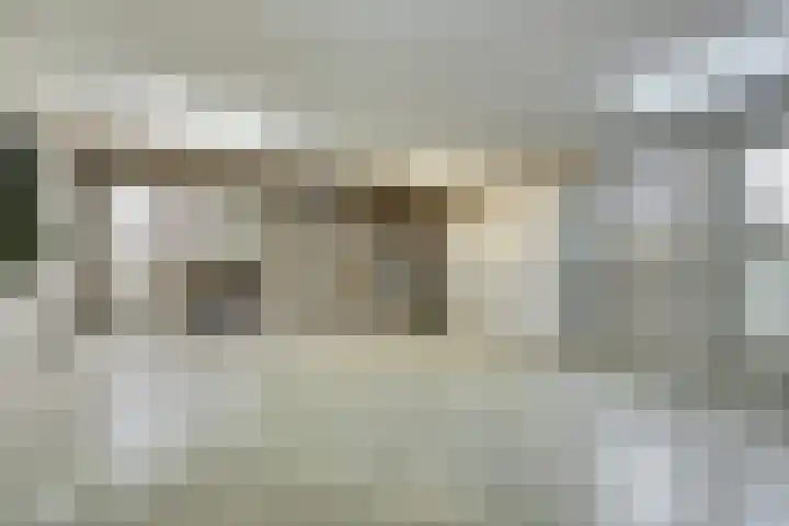 Tongerveldweg 7 Maasbree thumbnail 43
