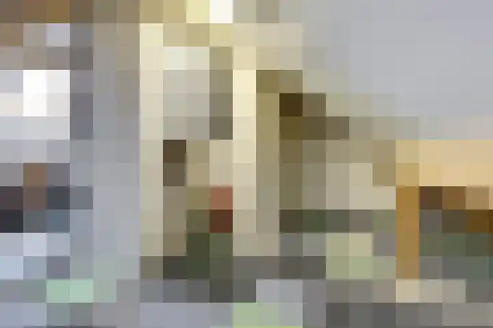 Tongerveldweg 7 Maasbree thumbnail 45