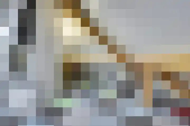 Tongerveldweg 7 Maasbree thumbnail 46
