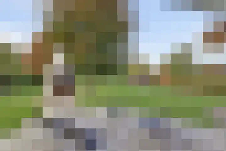Tongerveldweg 7 Maasbree thumbnail 50