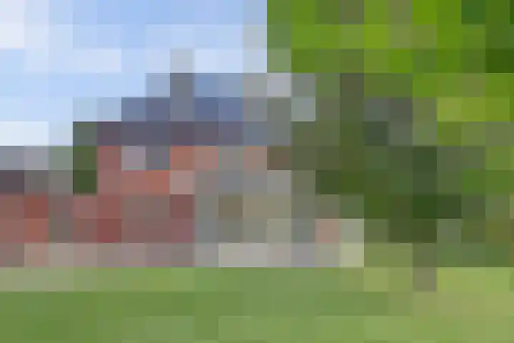 Tongerveldweg 7 Maasbree thumbnail 52