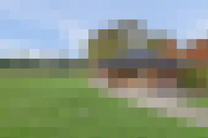 Tongerveldweg 7 Maasbree thumbnail 54