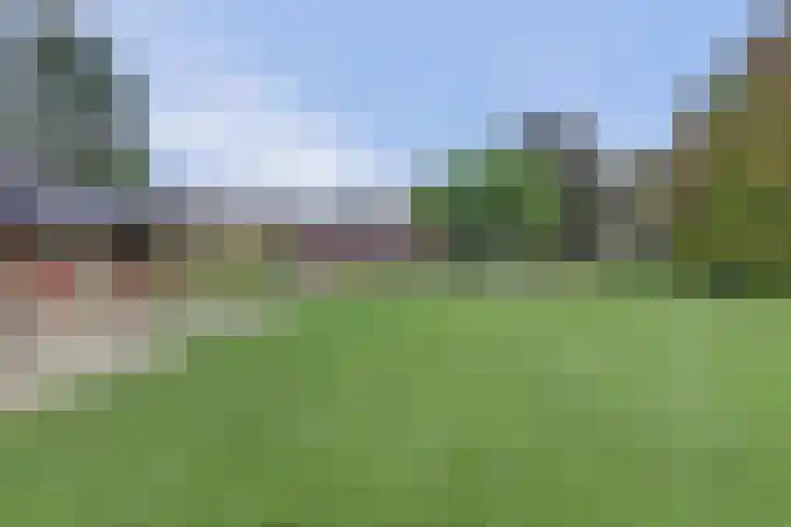 Tongerveldweg 7 Maasbree thumbnail 55