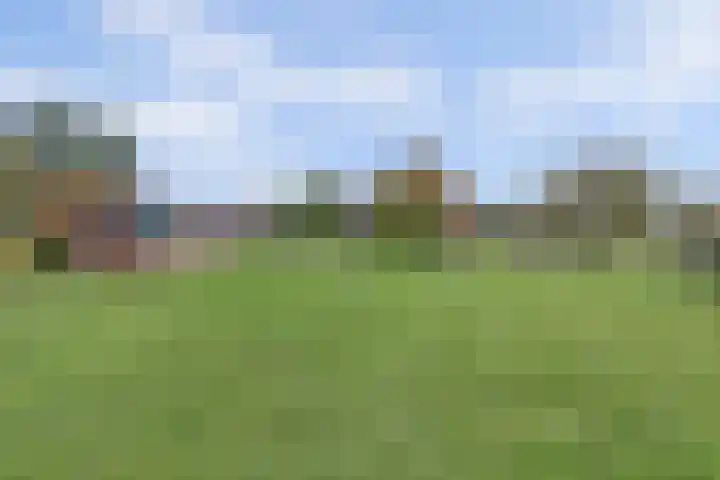 Tongerveldweg 7 Maasbree thumbnail 56